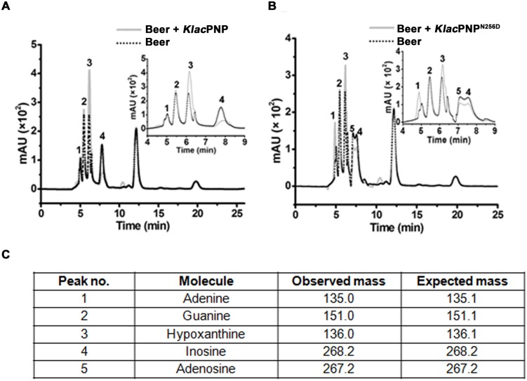 Fig 10