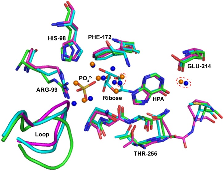 Fig 6