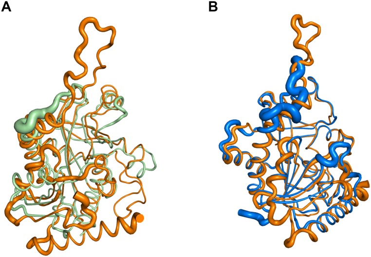 Fig 5