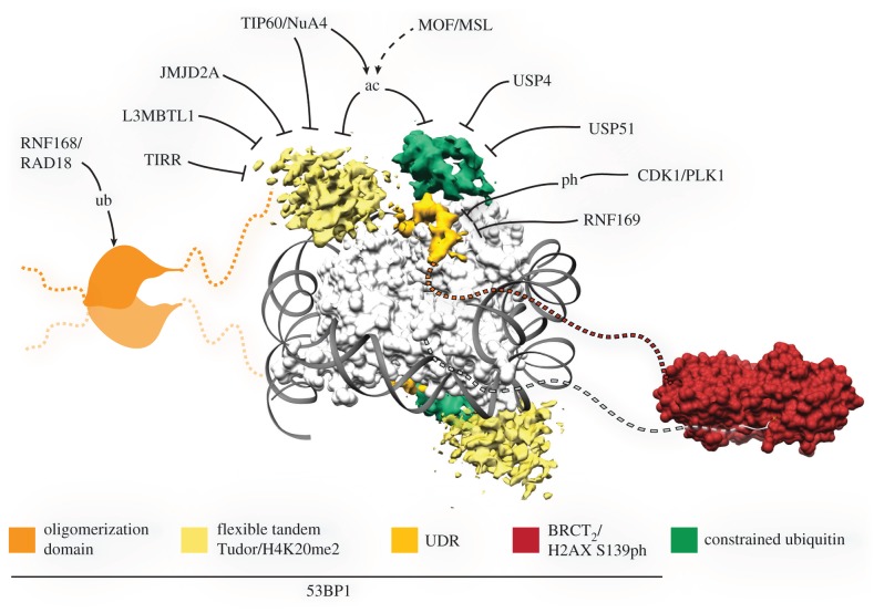 Figure 3.