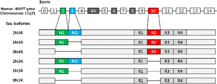 Fig. 1