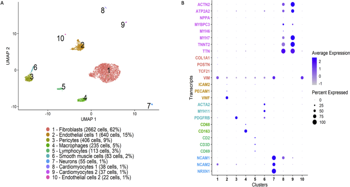 Figure 11