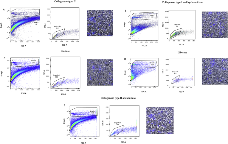 Figure 4