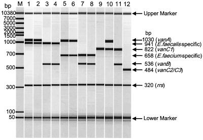 FIG. 1-1