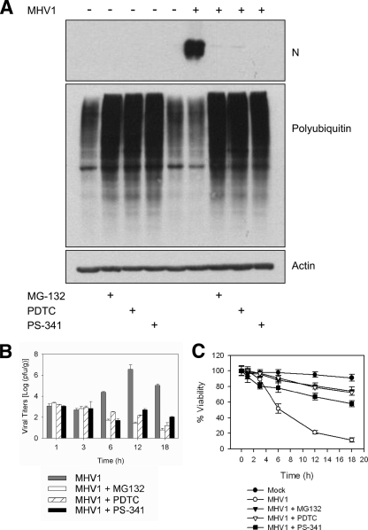 FIG. 1.