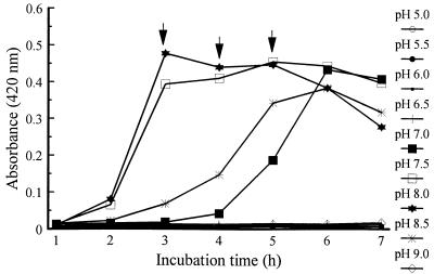 FIG. 3