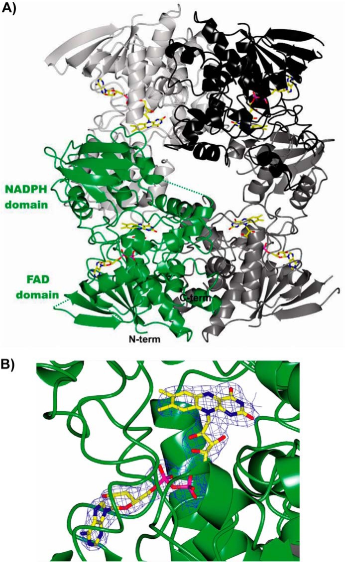 FIGURE 6.