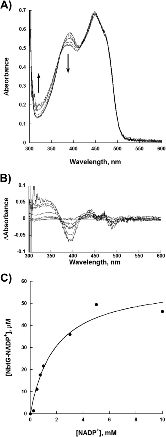 FIGURE 5.