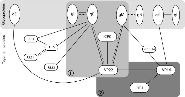 Fig 8