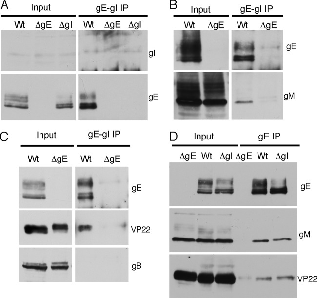 Fig 5