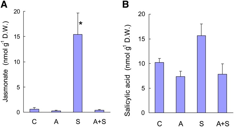 Figure 11.