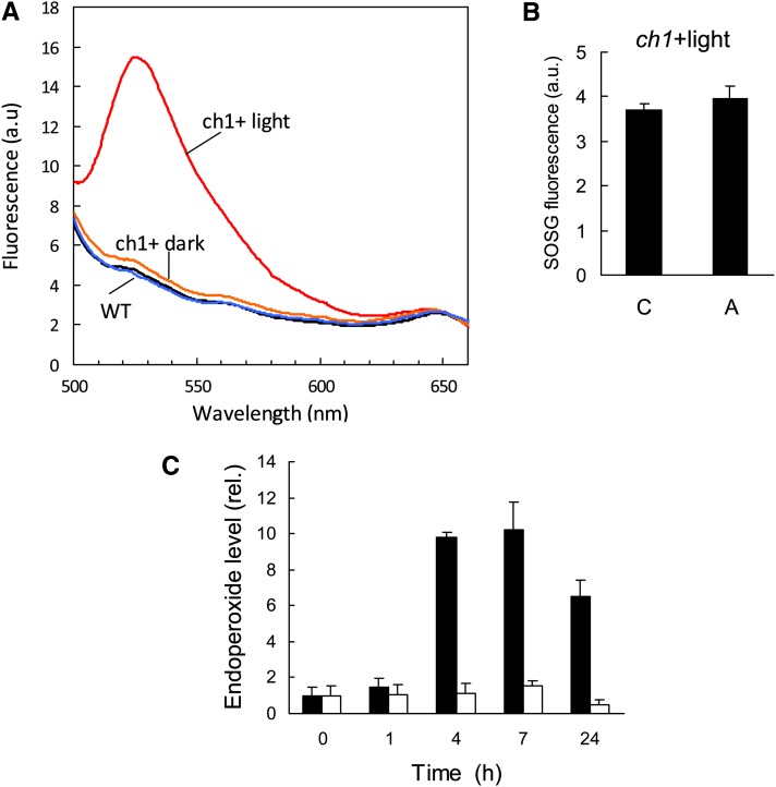 Figure 7.