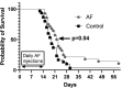 Figure 5 -