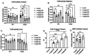 Figure 2 -