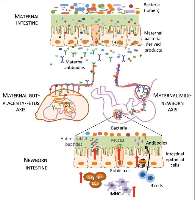 Figure 2.