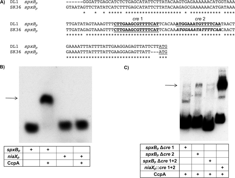 FIG 2