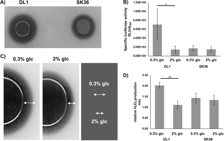 FIG 1