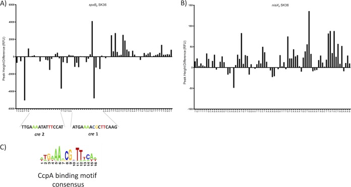 FIG 3