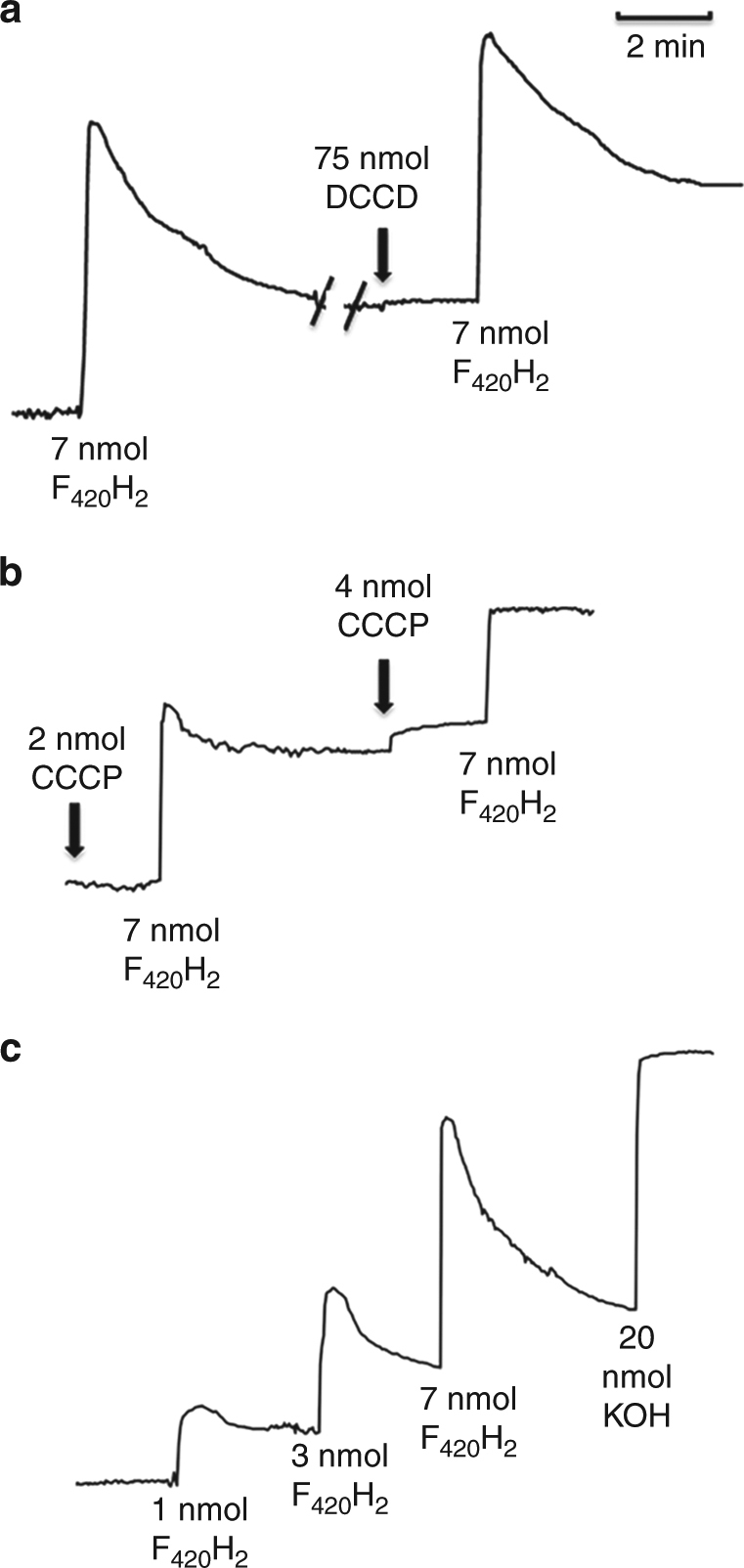 Fig. 4