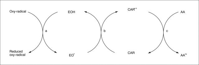 Figure 3  