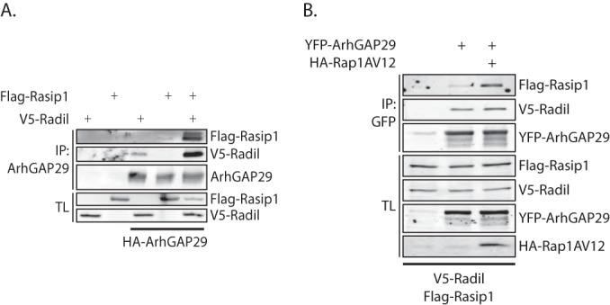 FIG 6