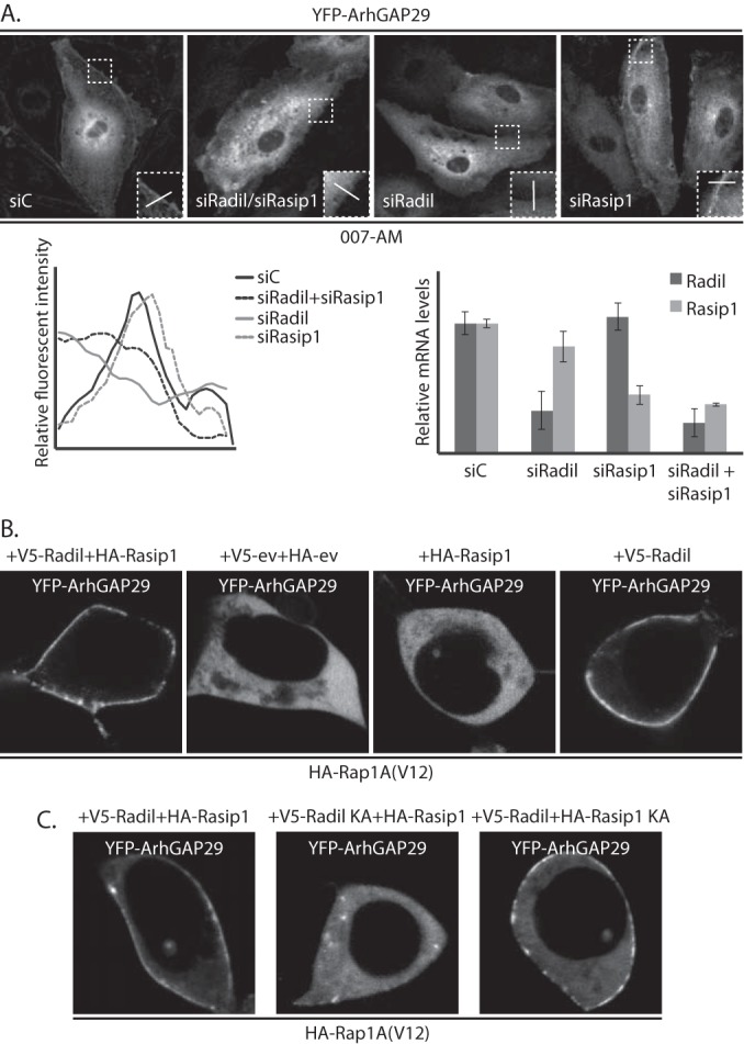 FIG 4