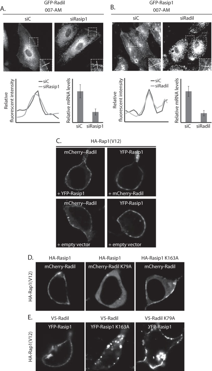 FIG 3