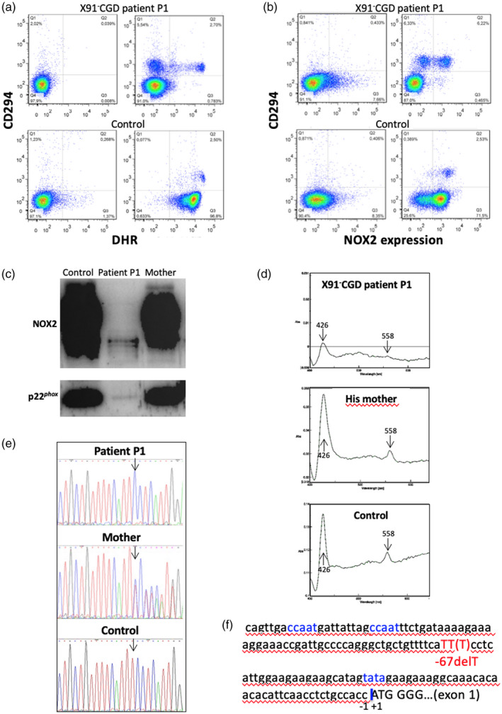 Fig. 4