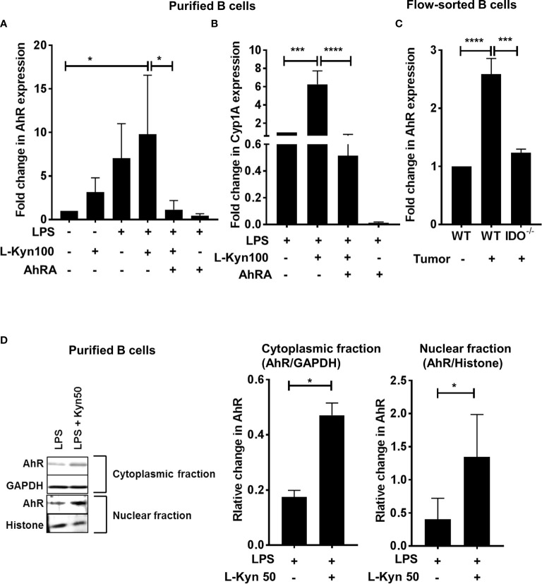 Figure 4