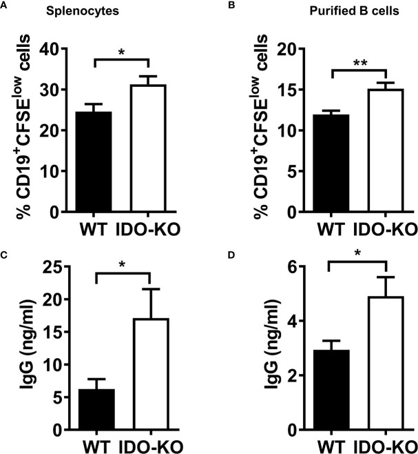 Figure 7