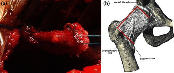 Fig. 3