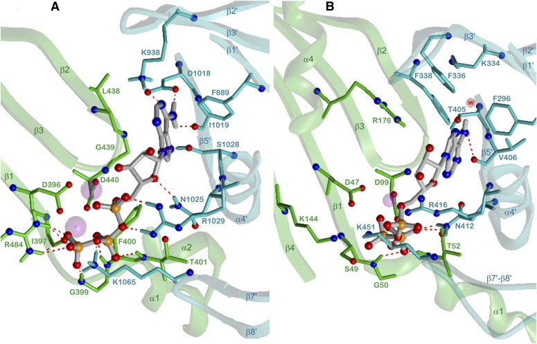 Fig. 11.