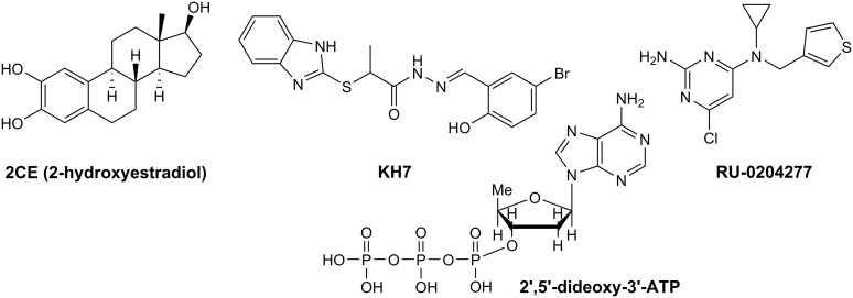 Fig. 15.