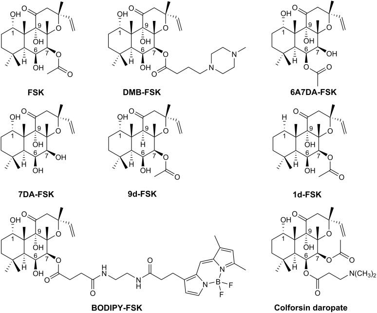 Fig. 12.