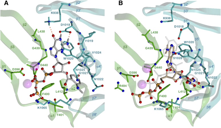 Fig. 14.