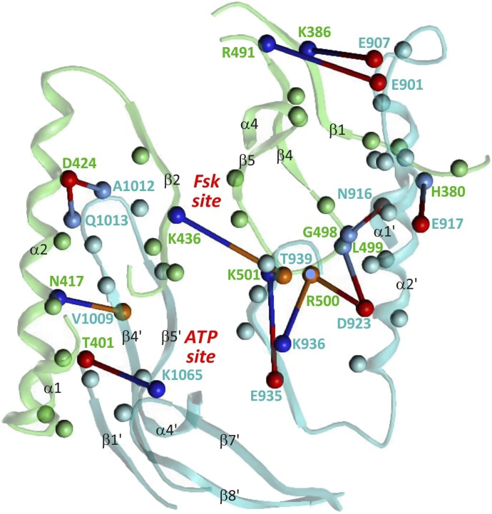 Fig. 7.