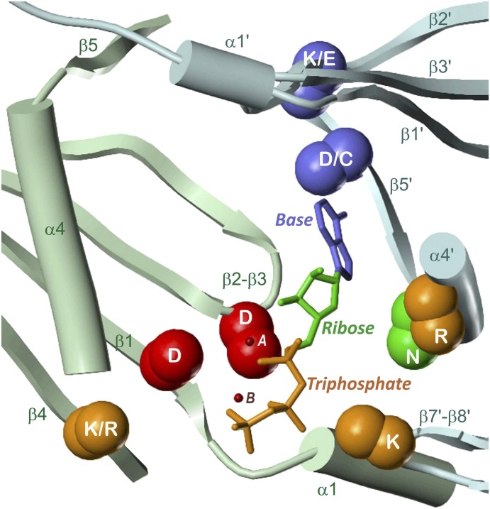 Fig. 10.