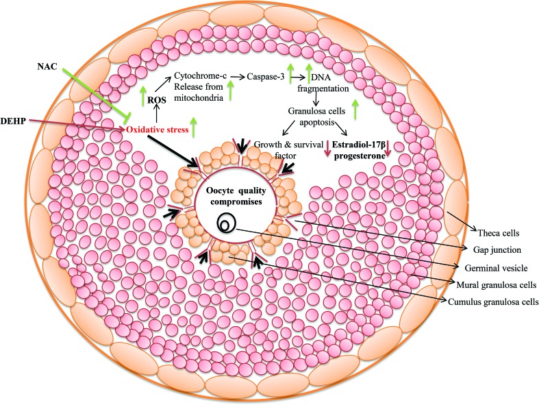 Fig. 10