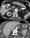 Fig. 2