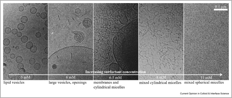 Figure 6