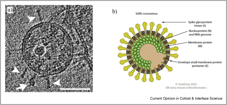 Figure 1