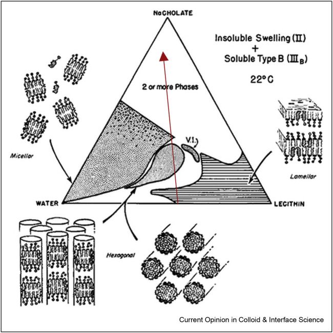 Figure 5