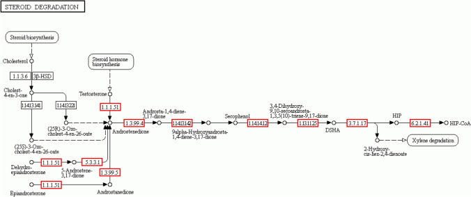 Fig. 10