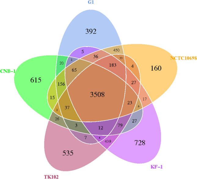 Fig. 12