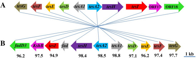 Fig. 11