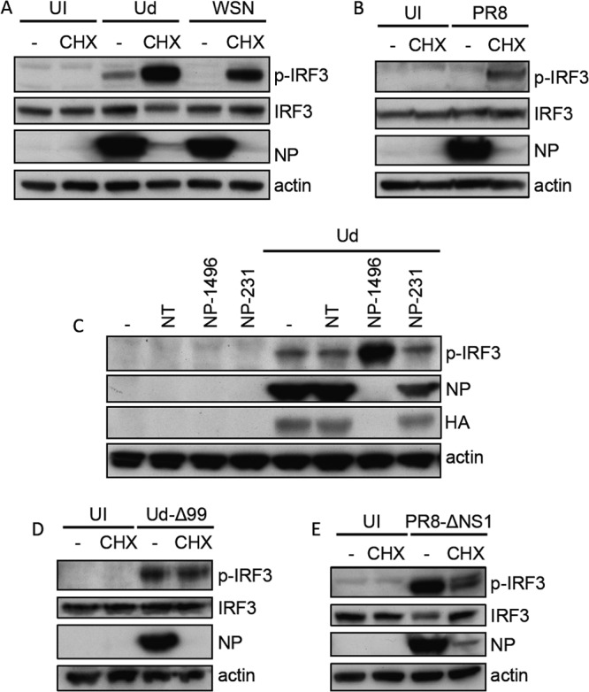 FIG 1