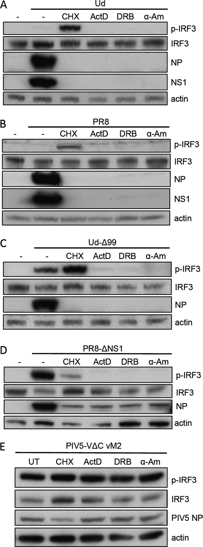 FIG 7