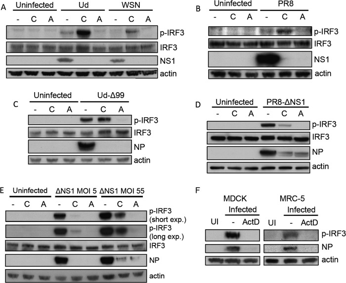 FIG 3