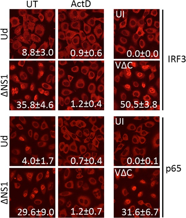 FIG 5