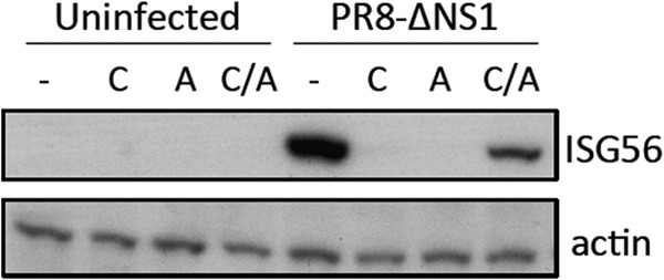 FIG 2